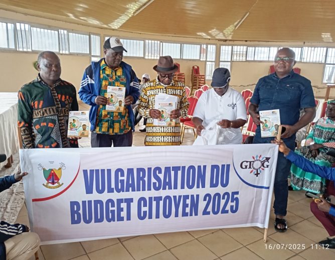 Vulgarisation du budget citoyen 2025